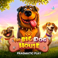 THE BIG DOG HOUSE